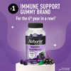 AIRBORNE GUMMIES ELDERBERRY 50CT
