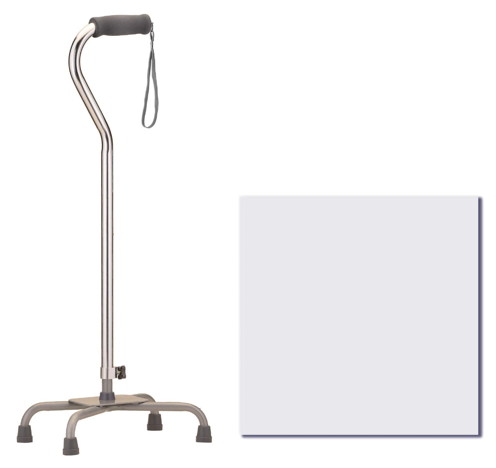 CANE 5610SI QUAD LARGE BASE SILVER NOVA