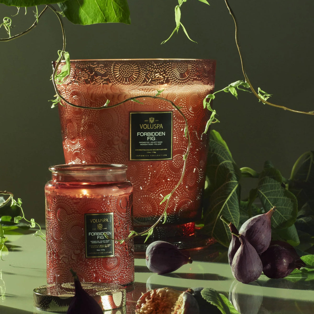 VOLUSPA - Forbidden Fig Glass Candle 18 oz