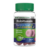 ROBITUSSIN ADULT NT CGH DM BRRY CHW 20CT